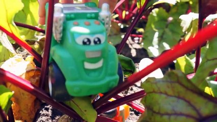 Chuck und Rowdy Wir ernten unser Gemüse - Lehrreicher Kinderfilm