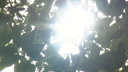 [날씨] 오늘도 전국 펄펄, 서울 34℃...내륙 곳곳 소나기 / YTN