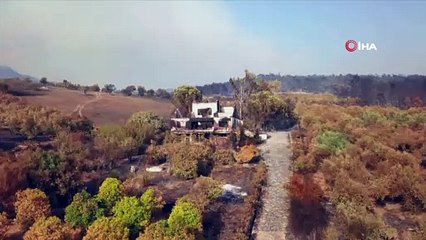 - Yunanistan’ın Eğriboz Adası'nda 150 ev küle döndü