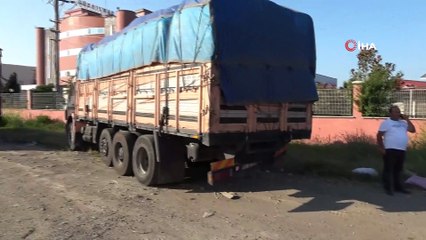 İstanbul'dan Ordu'ya fındık toplaya giderken kaza yaptılar: 3 yaralı