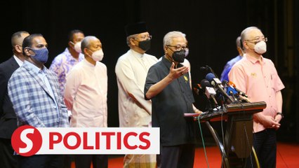 MCA, MIC sticking with BN decision to support Perikatan, say leaders