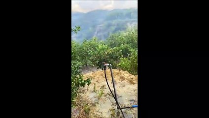 Αποκλειστικό: Ο ηθοποιός Βασίλης Παλαιολόγος βιώνει τον εφιάλτη της φωτιάς: «Έχουν καεί τα πάντα»