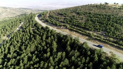 Kırıkkale'de ormanlık alanlar anbean kontrol ediliyor