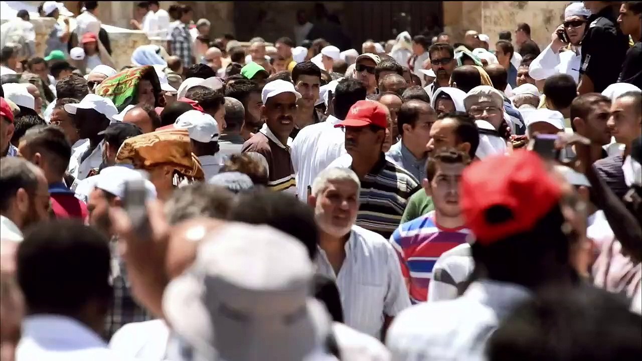 ...انخفاض كبير في الهيدروكربونات العطرية مت...