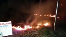 Terreno multado pela prefeitura é consumido por incêndio no Bairro Alto Alegre