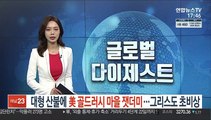 대형산불에 美 골드러시 마을 잿더미…그리스 초비상