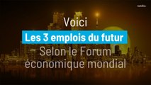 Voici les 3 principaux emplois du futur, selon le Forum économique mondial