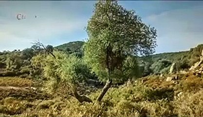 NOVELA GÊNESIS CAPITULO 131 COMPLETO - 20-07-2021 SEGUNDA