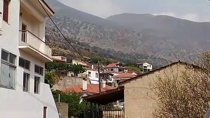 Φωτιά στη Φωκίδα