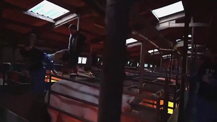 Un éleveur vire des activistes végan de sa ferme à grand coups de pied