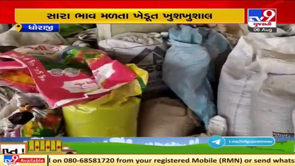 Farmers delighted after getting good rates at Dhoraji APMC, Rajkot _ TV9News