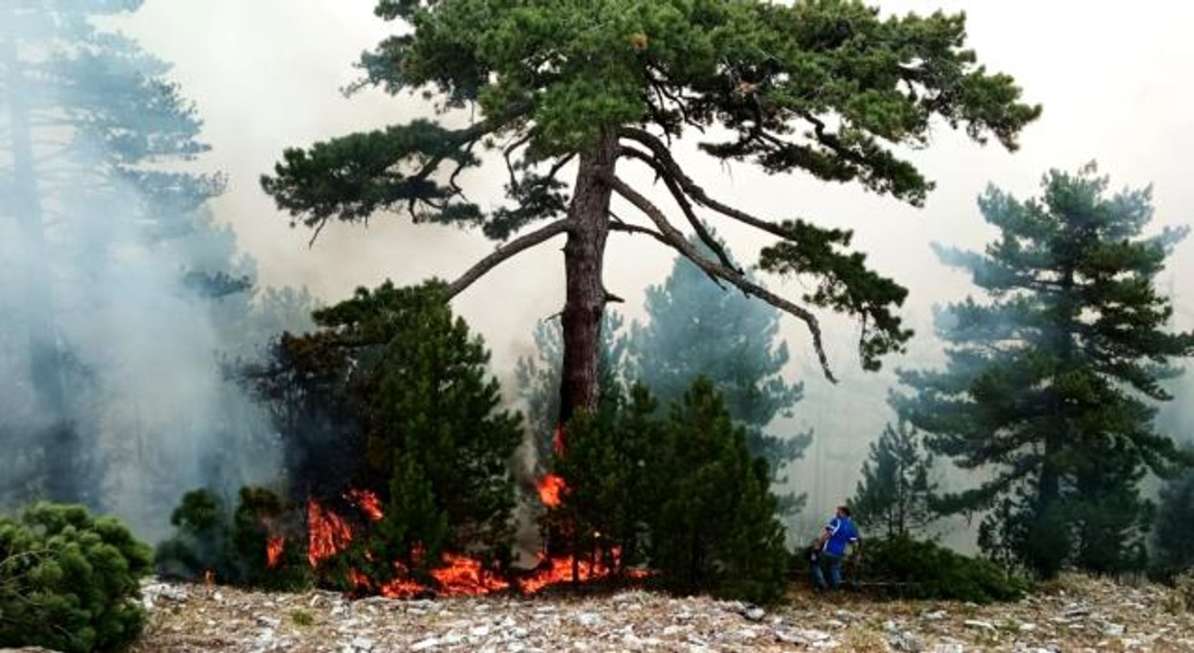 Son dakika haberleri: Kavaklıdere yangını Menteşe sınırlarında devam ediyor