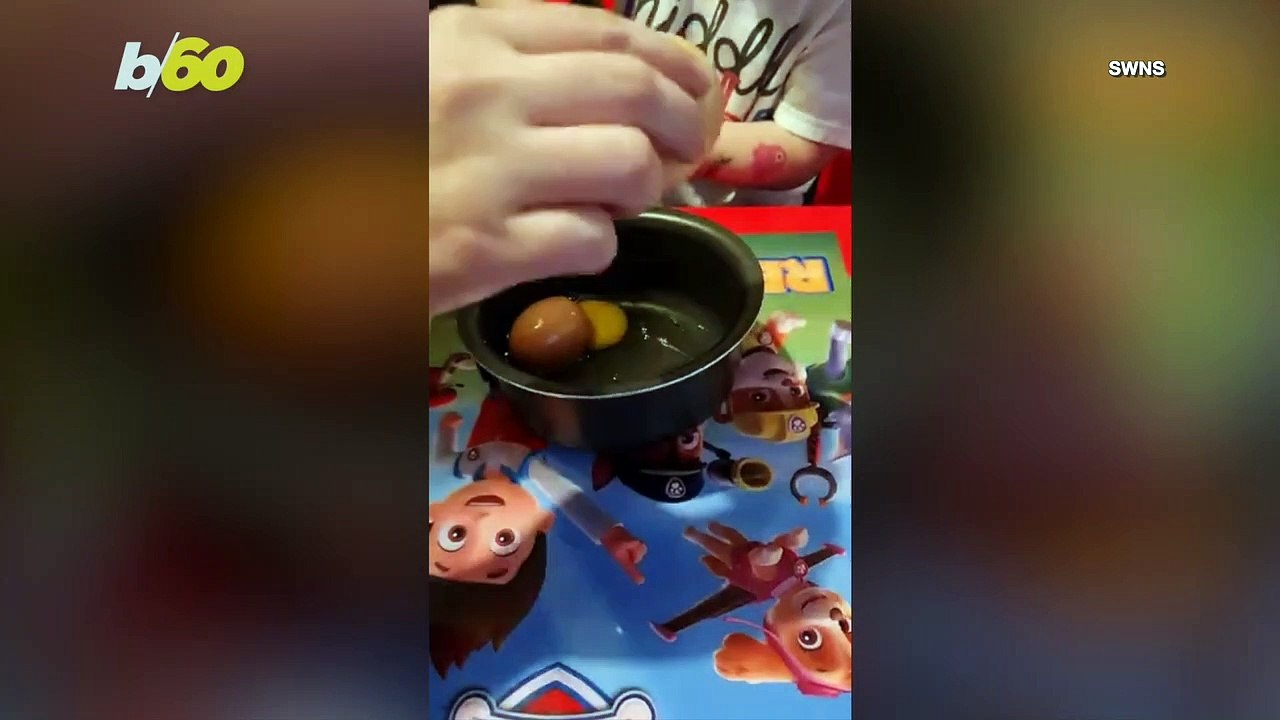 Chicken Lays Three Giant Eggs– One Contained Another Fully Formed Egg Inside