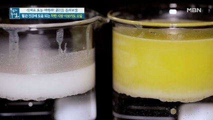 아보카도 오일이 지방을 녹인다? 지방 분해 실험