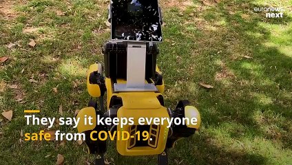 A useful tool or dehumanising? Robot police dog that scans homeless people sparks debate