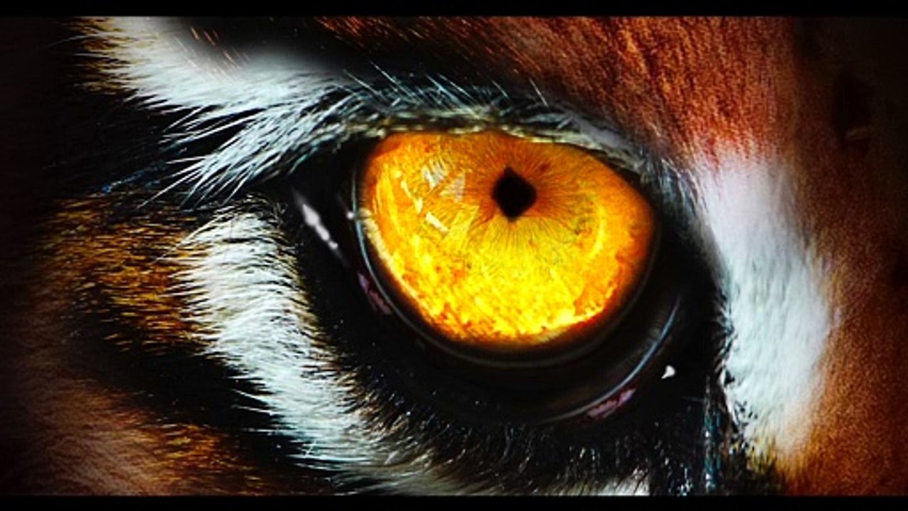 Critically endangered Somali wild ass foal born at Woburn Safari Park (C) Woburn Safari Park