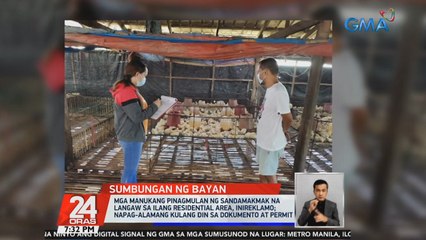 Mga manukang pinagmulan ng sandamakmak na langaw sa ilang residential area, inireklamo; Napag-alamang kulang din sa dokumento at permit | 24 Oras