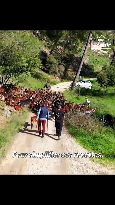 AVANT-PREMIERE - Le mardi 17 août à 21h05 sur 6ter, Norbert Tarayre revient pour de nouveaux numéros de “La grande vadrouille de Norbert” - Découvrez les 1ères images