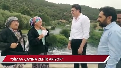 "Simav çayına zehir akıyor"