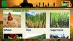 Kisano को कृषि क्षेत्र में बिजनेस शुरू करने के लिए मिलेंगे Rs 10 Lakh | किसानों को मिलेगा रोजगार | PM Suksham Khadya Udyog Unnayan Yojana | Kisan Bulletin | Green TV