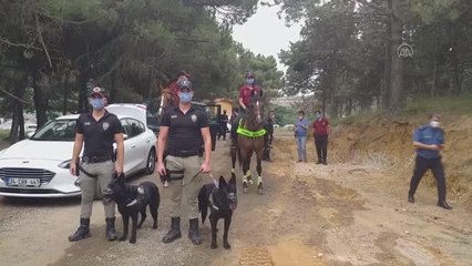 Ormanlık alanlarda denetimler aralıksız devam ediyor