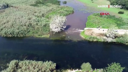 Uluabat Gölü'nün rengi siyaha döndü: Çıkan balığı kedi bile yemiyor