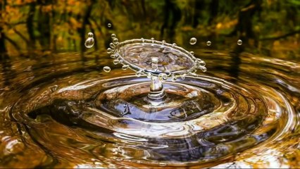 Deep Sleeping Music, Sleep Relaxing Music, Stress Relief Music, Clam Music