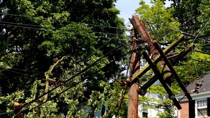 How to deal with downed power lines