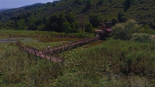 Efteni Kuş Cenneti drone ile görüntülendi