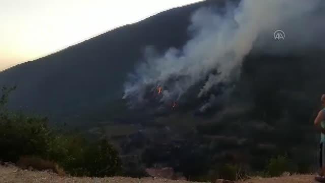 Son dakika... Bahçe ilçesindeki orman yangınına müdahale ediliyor