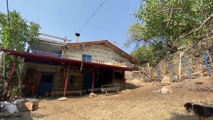 Yangında ayağı kırılan çocuğa Kaymakam Hülür'den teşekkür belgesi