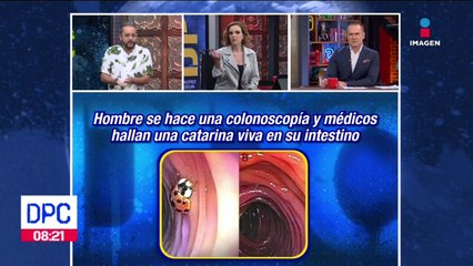 Hallan una catarina en el estómago de un hombre