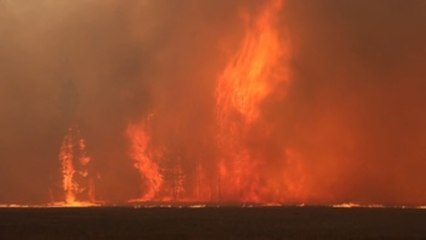 El incendio Dixie es ya el tercero más grande en la historia de California