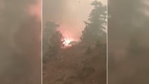 Son dakika haber... KAHRAMANMARAŞ - Andırın'da ormanlık alanda çıkan yangın söndürüldü