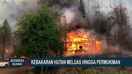Kebakaran Hutan di Greenville California Meluas Hingga ke Permukiman