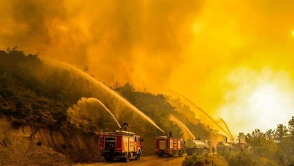 47 ilde 209 orman yangını kontrol altına alındı, 5 ilde 13 noktada söndürme çalışmaları sürüyor
