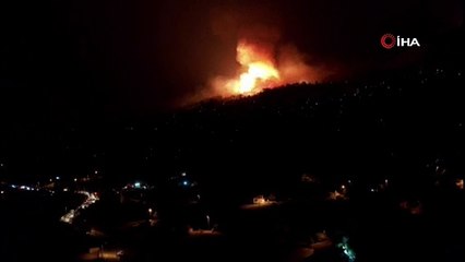 Aydın'da metrelerce yükselen alevler geceyi aydınlattı