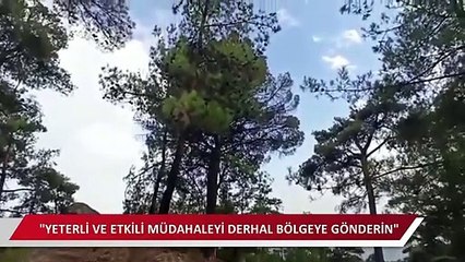 CHP'li Alban yangın söndürme uçağını böyle görüntüledi: "Bizimle dalga mı geçiyorsunuz?"