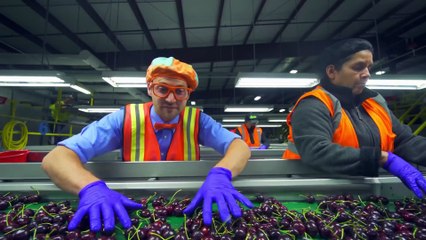  Cabezas de Patata con Blippi Español en la Granja  | Videos Educativos para Niños part 2