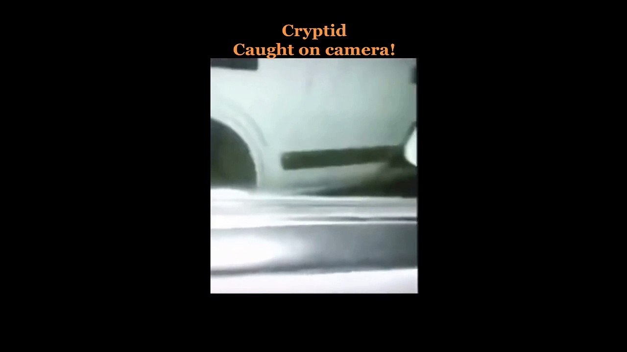 Strange creatures caught in Tik Tok- Very best of cryptids 1