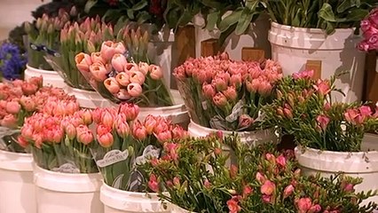 Victorian small business owners devastated by rolling lockdowns