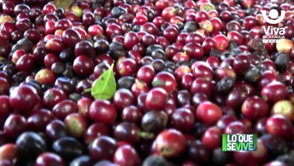 Comportamiento positivo de la economía nicaragüense