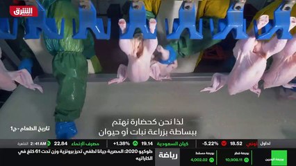 انهيار الستار الحديدي