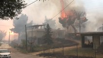 Firefighters battle devastating wildfires near Athens