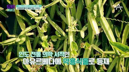 식탁 위 3금(禁)의 법칙! 이것만 지키면 맘껏 먹고 살 덜 찔 수 있다!