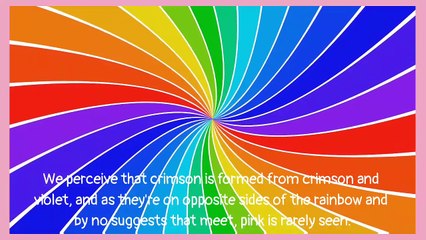 Is The Color Pink within the Rainbow