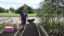 Using boxes to get a weed free garden bed and attract worms!!