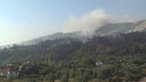 Son dakika haber: Çine ilçesindeki orman yangınına müdahale ediliyor (3)