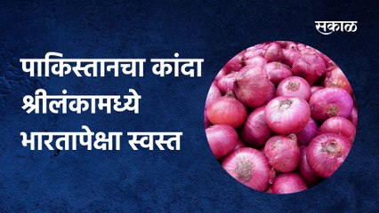 Pakistani onion in Sri Lanka  Cheaper than India;पाकिस्तानचा कांदा श्रीलंकामध्ये  भारतापेक्षा स्वस्त