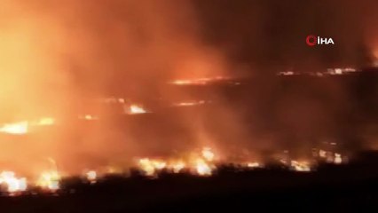 Ağaçlık alanda çıkan yangın kontrol altına alındı